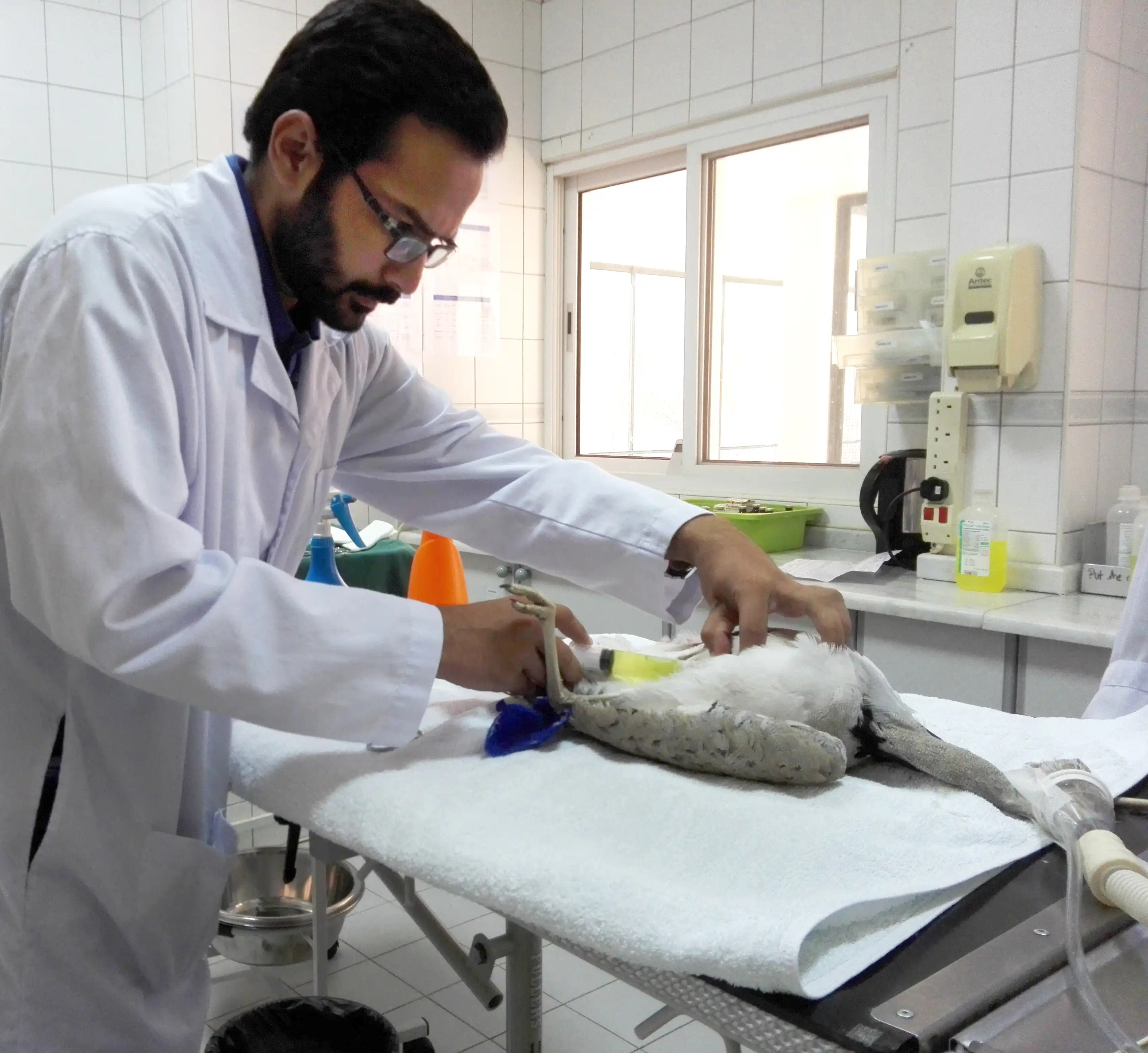 Dr Shahid Hassan Sharif